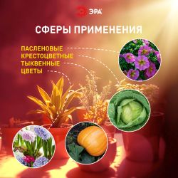 Светильник для растений, фитолампа светодиодная линейная ЭРА FITO-10W-Т5-RB-Slim красно-синего спектра 10 Вт Т5 | Линейные фито светильники