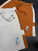 Шорты Hermes