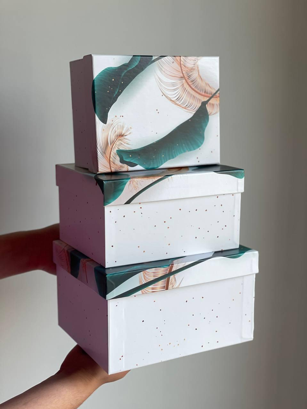 Коробка 2 ДИКИЙ РАЙ 230x190x130