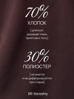 Спортивный костюм весенний без начеса
