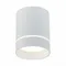 ST115.542.12 Светильник потолочный Белый LED 1*12W 4000K 840Lm Ra>90 120° IP20 D79xH100 170-240V Накладные светильники