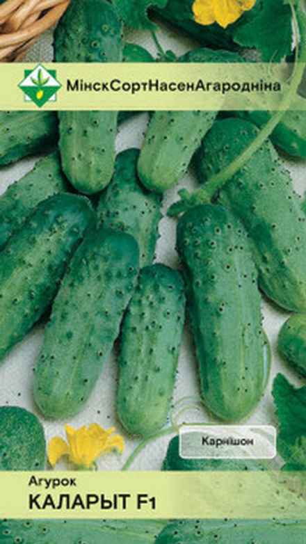 Огурец "Колорит F1" 0.5г, Беларусь.