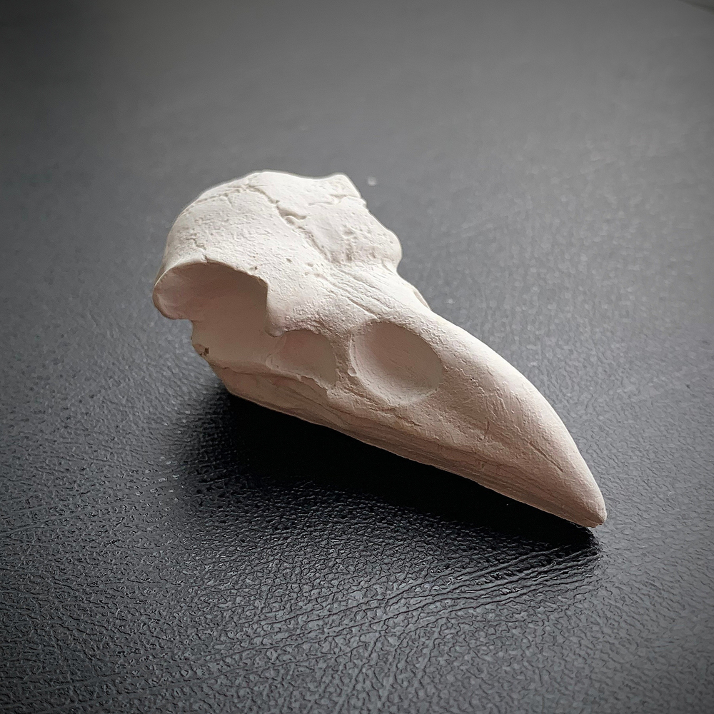 Череп Ворона