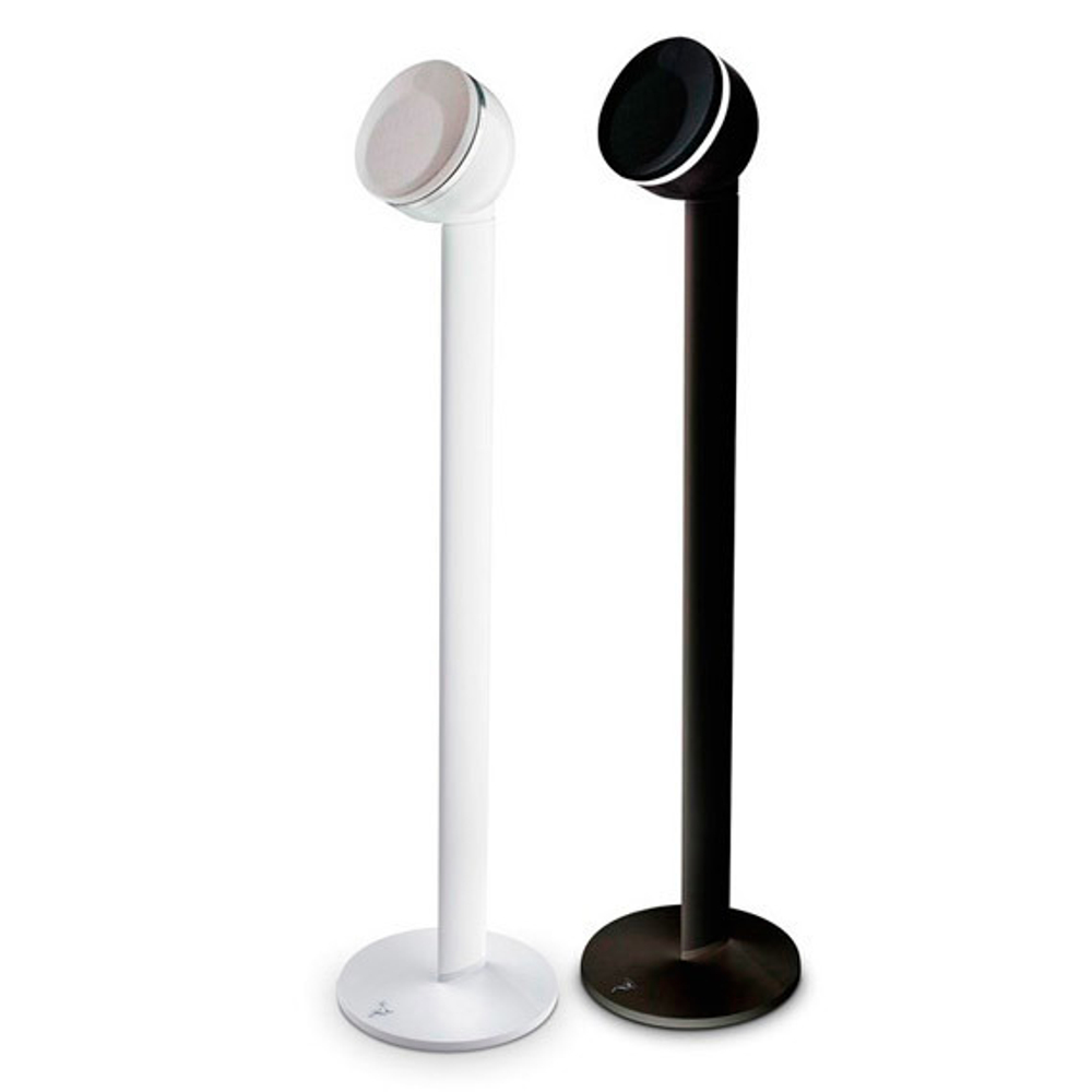 Focal Pack Stand Dom