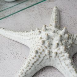 Блюдо для подачи 24 см h6 см Звезда Gray Starfish Frutti di Mare P.L. [1]