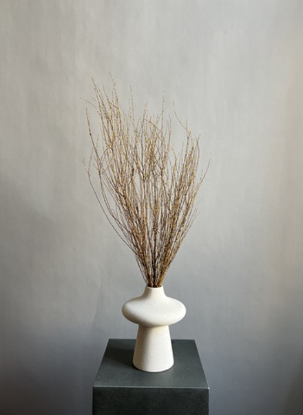 Вереск желтый