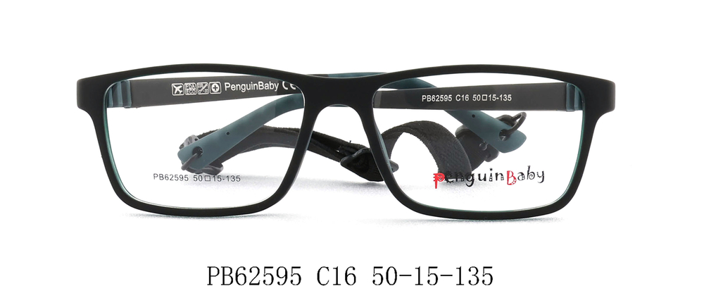 PB62595