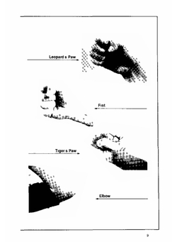 The Tiger Crane Form of Hung Gar Kung-Fu | B. Kong