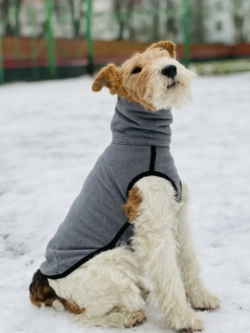 Свитер для собак одежда для басенжди