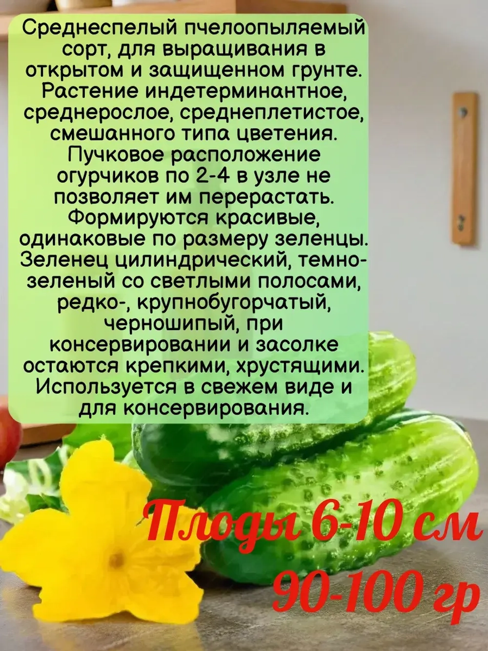 Семена Огурец Монастырский Среднеспелый пчелоопыляемый 2гр