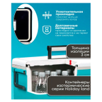 Термобокс SHINWA Holiday Land Cooler 33H синий HLC-33H-BL