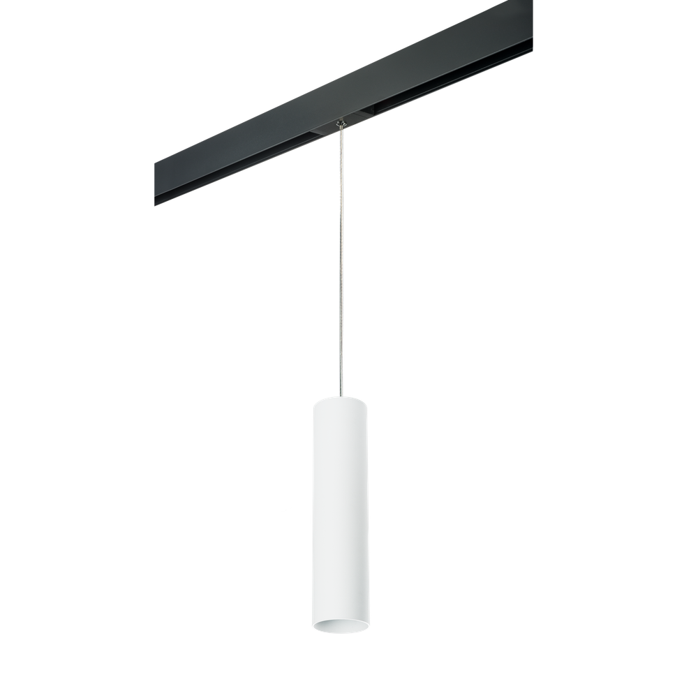 Трековый светильник Lightstar Rullo PRORP496