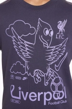 Футболка Nike Liverpool FC 23/24 Air Junior