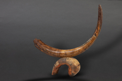 Бивень мамонта