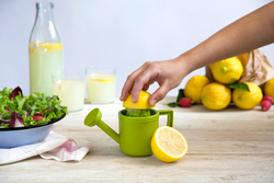 Соковыжималка для лимонов lemoniere
