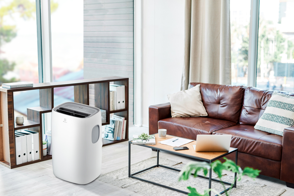 Мобильный кондиционер Electrolux EACM-11 CL/N3