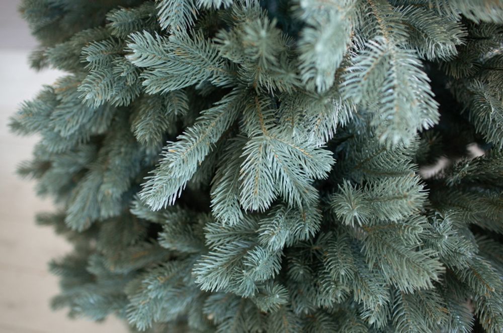 Ель голубая искусственная «Бордо» (Литая хвоя) 240 см / 2.4 м