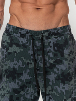 Брюки мужские спортивные Cool Nature