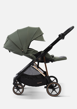 Peppy Коляска прогулочная Amici (Green) рама Black