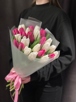 25 бело-розовых тюльпанов