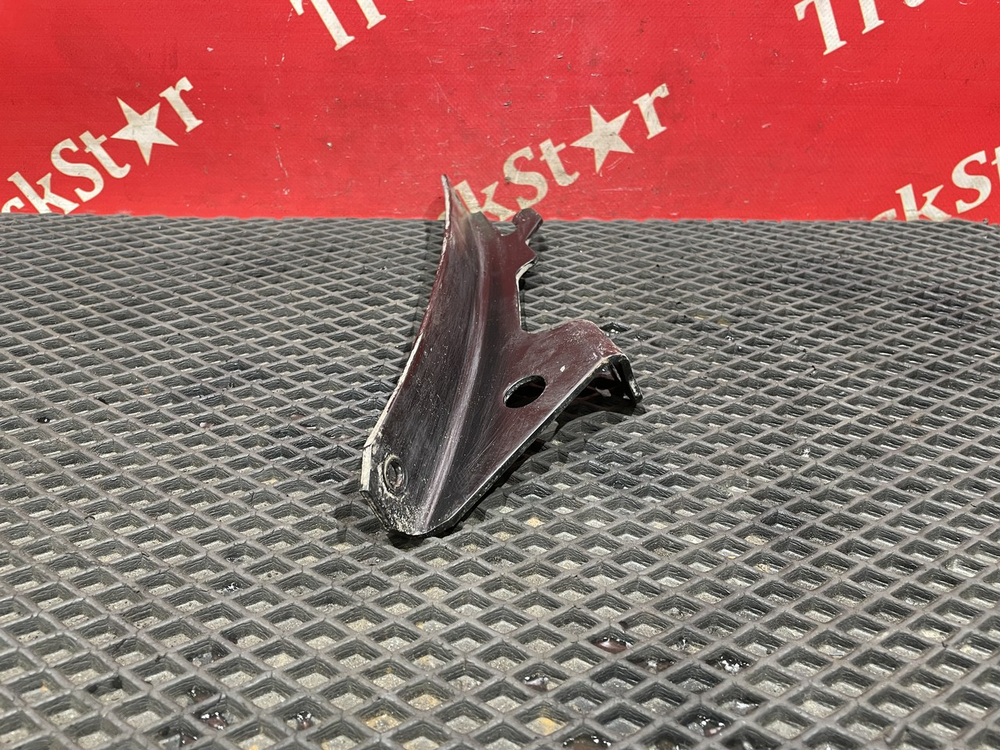 Кронштейн крыла левый 2018г.