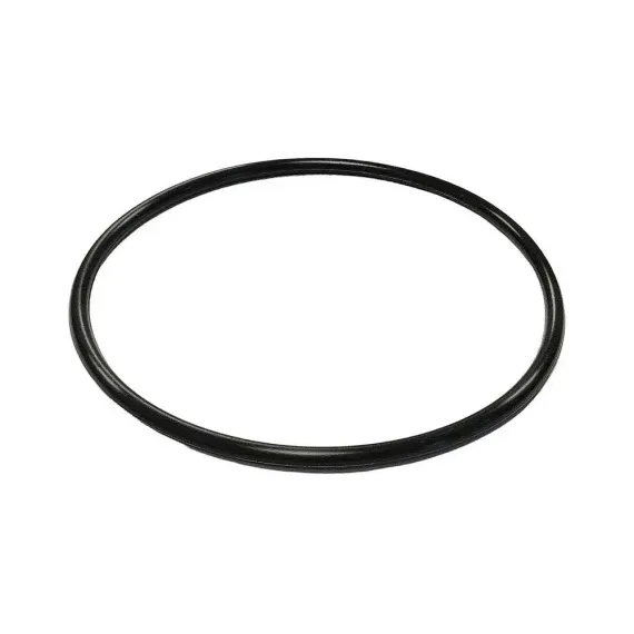 Кольцо уплотнительное для колбы BigBlue 10ББ-ПР 38113