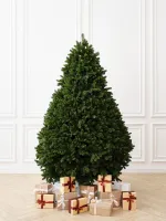 Ель искусственная «Grand Majesty» (Литая+пвх) 270 см / 2,7 м