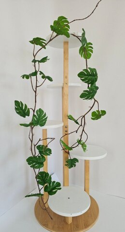 Монстера лиана / Арт 4346