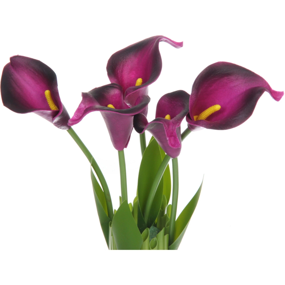 Цветочная композиция «Весенняя рапсодия» 15*30см Каллы фиолетовые