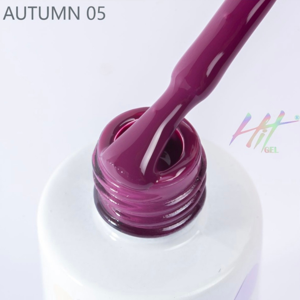 Гель-лак ТМ "HIT gel" №05 Autumn, 9 мл