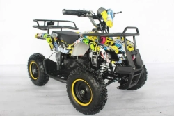 Электроквадроцикл Green Camel Гоби K21 (36V 800W R6 Цепной привод)