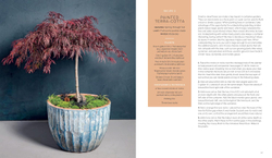 The Container Garden Recipe Book