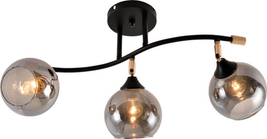 8815/3 BK+FGD+WOOD (6) Люстра RL