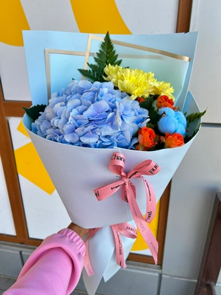 Пинки Винки