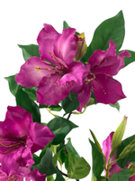 Альстромерия фуксия