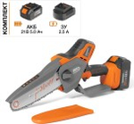 Пила цепная аккумуляторная DAEWOO DACS 821Li SET