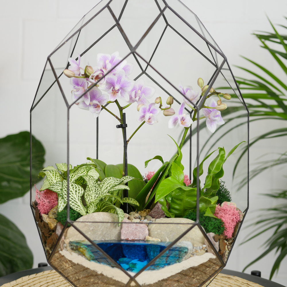 Готовый флорариум с нежной орхидеей Цефей с озером