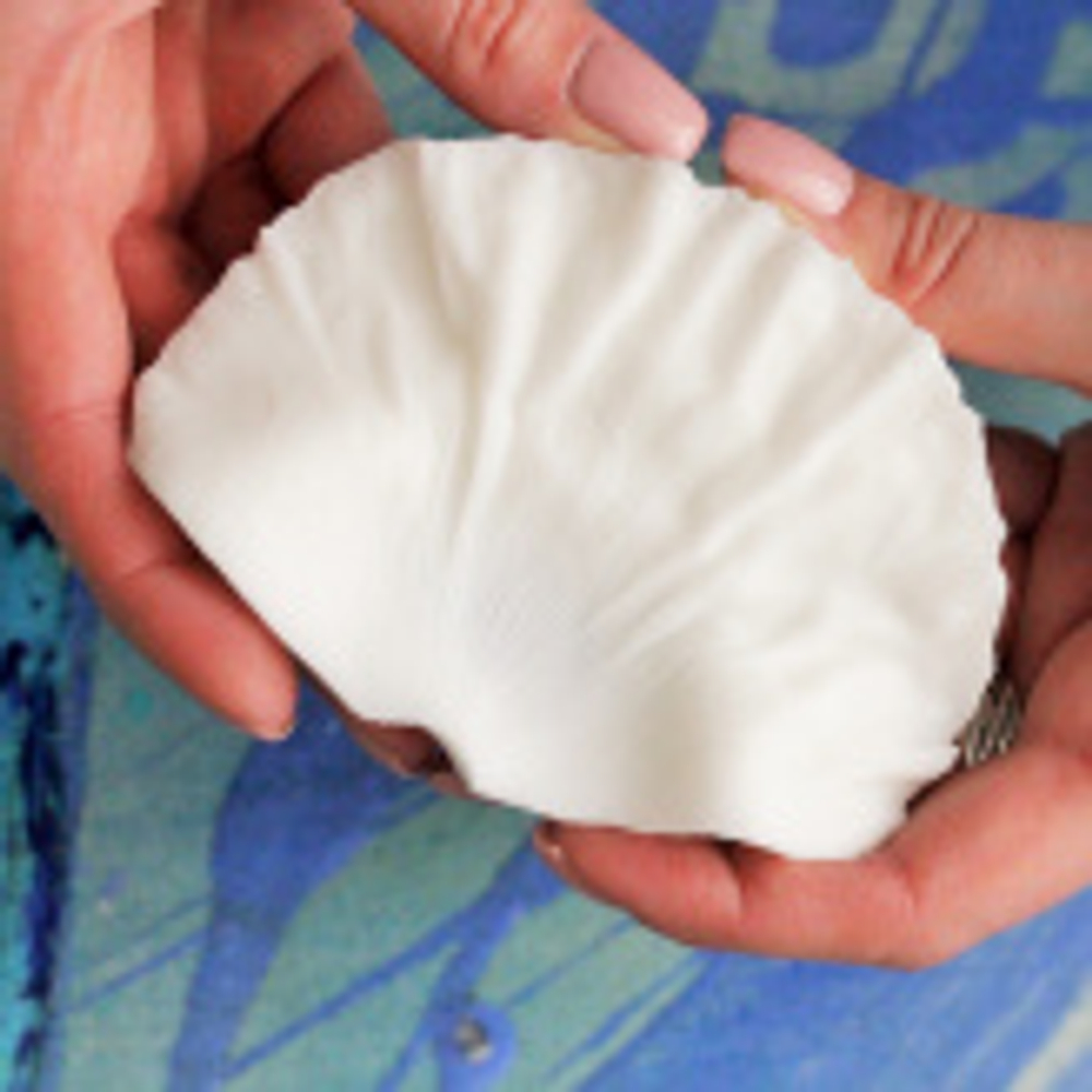 Вайнер крупного лепестка Мака ClayCraft by DECO™