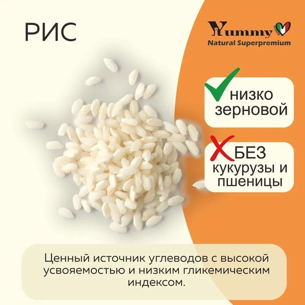 Yummy Linea корм для щенков малых и миниатюрных пород, индейка, 2,5 кг