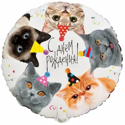 Круг "Котики на День Рождения"