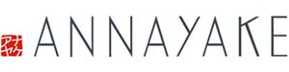 annayake tomo pour homme edt 100ml