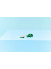 Конструктор Creator 31377 Черепаха с цветком кувшинки 3в1