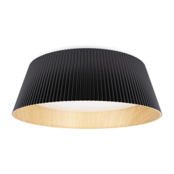 Светильник Потолочный Loft It Evans Black 10224