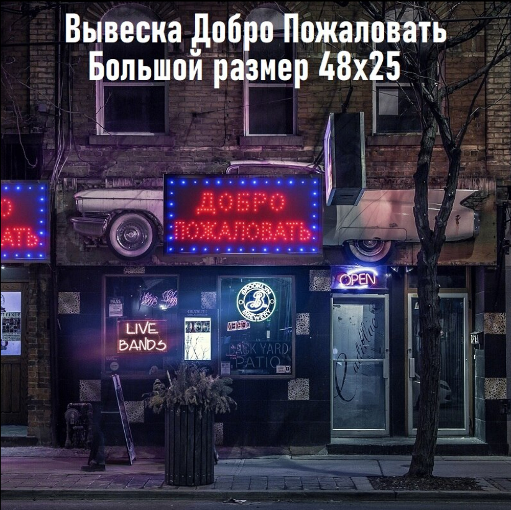 Светодиодная вывеска "Добро пожаловать" (25х48см) FR1