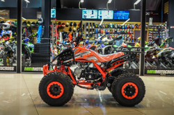 MOTAX ATV T-Rex Super LUX 50 (125) сс