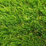 Искусственная ландшафтная трава PVHGrass 35 ширина 2м