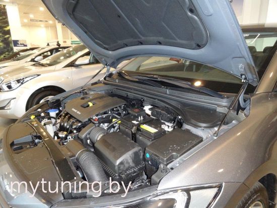 Амортизаторы (упоры) капота для Hyundai Elantra 6(VI)