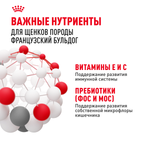 Royal Canin French Bulldog Puppy (Французский Бульдог Паппи) Корм сухой для щенков породы Французский Бульдог 10кг