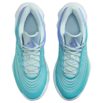 Кроссовки Nike Giannis Immortality 4 Ep