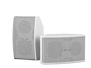 CVGaudio AXE5:DANTE-W – активная двухполосная акустическая система